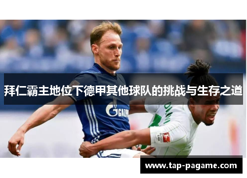 拜仁霸主地位下德甲其他球队的挑战与生存之道 拜仁霸主地位下德甲其他球队的挑战与生存之道