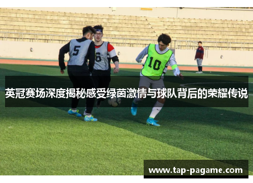 英冠赛场深度揭秘感受绿茵激情与球队背后的荣耀传说 英冠赛场深度揭秘感受绿茵激情与球队背后的荣耀传说