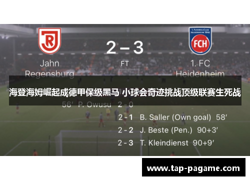 海登海姆崛起成德甲保级黑马 小球会奇迹挑战顶级联赛生死战